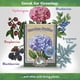 thumbnail image 3 of Fertilizante acidificador de azufre natural Down To Earth All Natural 2.27 kg, 3 of 9