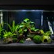thumbnail image 4 of Madera para acuario emours 20‑25 cm forma variable, 4 of 8