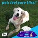 thumbnail image 5 of Toallitas para mascotas Ventique Labs Furbliss Hygienic para perros y gatos, 100 unidades, 5 of 6