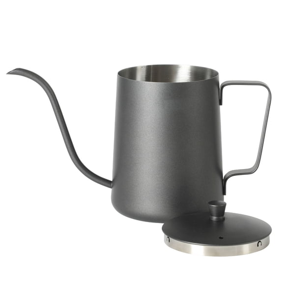Hervidor de cuello de ganso Mr. Coffee Stillbrook 1,2 L Negro