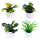 thumbnail image 5 of 4x Mini Casa De Muñecas Plantas En Macetas De Plástico Jardín De Hadas Para Decoración De Casa De Muñecas, 5 of 5