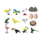 thumbnail image 3 of Figuras De Juguete De Animales, Minifiguras De Animales Realistas De Tubo Para Pájaros De Fiesta Temática, 3 of 3