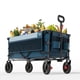 thumbnail image 1 of Carro utilitario plegable TIMBER RIDGE de 200 L con frenos, 1 of 9