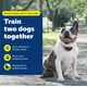 thumbnail image 2 of Collar de entrenamiento PetSafe Pro Trainer Add-A-Dog Waterproof, 2 of 8