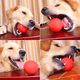 thumbnail image 5 of Pack de 3 Pelotas Juego Con Rebote Mascotas Gatos Perros, 5 of 5
