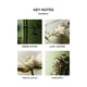thumbnail image 4 of Difusor Reed NEST New York Bamboo de 175 ml con 8 varillas, 4 of 7