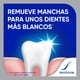thumbnail image 3 of Pasta Dental Sensodyne Sensibilidad y Esmalte Blanqueador, 100 g, 3 of 9