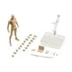 thumbnail image 3 of Conjunto De Cuerpo De Figuras De 15 Cm Con Soporte De Exhibición De Figura Para Decoración De Dormitorio Albaricoque Masculino, 3 of 5