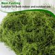 thumbnail image 2 of Musgo Artificial Yomirduy 150 g Verde para Decoración DIY, 2 of 6