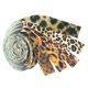 thumbnail image 4 of 5x Patrón De Leopardo Cinta De Terciopelo Costura Cordón Ajuste Cinta Flocado Cinta 2 5 Cm, 4 of 5