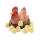 thumbnail image 3 of Escultura De Pollito De Gallina Grande De Simulación Para El Estilo Decorativo Del Patio Del Domingo De Pascua B, 3 of 5