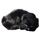 thumbnail image 4 of Dibujos Animados De Figuras De Animales De Gato De Dibujos Animados Juguete De Mu?eca Compa?era Para Ni?os Regalo, 4 of 4