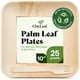 thumbnail image 1 of Platos desechables con hojas de palma Chic Leaf, 25 unidades, 25 cm cuadrados, 1 of 8