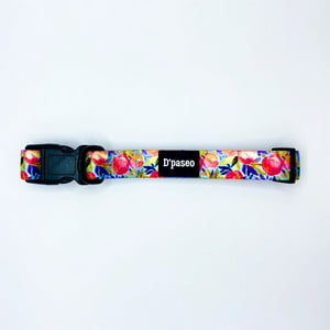 D'Paseo - Collar Para Perros Silvestre Talla L