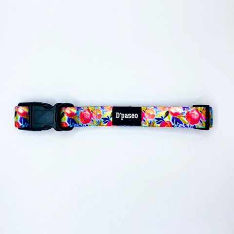 D'Paseo - Collar Para Perros Silvestre Talla L