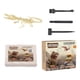 thumbnail image 5 of Kits De Excavación De Esqueleto De Animales Para Niños, Juguetes De Excavación DIY Para Niños Preescolares Estilo C, 5 of 5