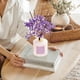 thumbnail image 5 of Difusor Reed COCORRÍNA Lavender Garden 200 ml con palitos y flores, 5 of 7