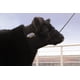 thumbnail image 3 of Cobertura Térmica de Cuello para Ganado Weaver Livestock - Talla Grande - Negro, 3 of 3