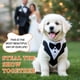 thumbnail image 2 of Esmoquin para Perro para Boda Traje de Esmoquin con Corbata de Moño, 2 of 7