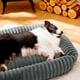 thumbnail image 5 of Cama Para Perro Aspor Lavable Antideslizante Y Tela Polar, 5 of 8