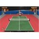 thumbnail image 3 of Videojuego Nintendo Wii Balls of Fury Reacondicionado, 3 of 6