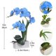 thumbnail image 2 of Orquídea artificial FuleHouzz azul de 39 cm con vaso de cerámica, 2 of 7
