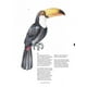 thumbnail image 3 of Aves, Abejas Y Flores: Guía Para Pintar Con Acuarela, 3 of 7