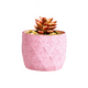 thumbnail image 1 of Macetero Geométrico Cerámica Suculentas 7.2x6cm Pack 10 Rosa, 1 of 3