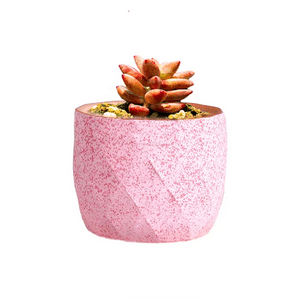 Genérico - Macetero Geométrico Cerámica Suculentas 7.2X6Cm Pack 10 Rosa