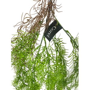 Corel - Helecho Colgante De Pino 100Cm