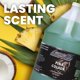 thumbnail image 2 of Ambientador en Spray para Auto LANE'S 3.8L Piña Colada, 2 of 6
