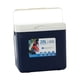 thumbnail image 5 of Nevera portátil con aislamiento térmico, caja de almacenamiento en frío con asa, hielera personal de 20 l, hielera pequeña para exteriores, barco, Azul, 5 of 5