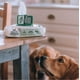 thumbnail image 3 of Beco Toallas Húmedas Wipes Para Mascotas Perro Y Gato 80u verde, 3 of 6