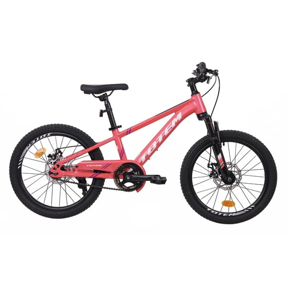 Bicicleta Mtb Aro 20 Sunshine Color Rosada