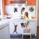thumbnail image 4 of Adhesivos de pared WMDecal 3D con dibujos animados de animales y gatos, vinilo, 12 unidades, 4 of 7