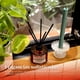 thumbnail image 5 of Difusor De Aroma Mikado Aromatherapy 150ml Varillas Ratan fucsia, 5 of 8