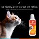 thumbnail image 2 of Suplemento De Vitaminas Y Antioxidantes Para Gatos Spectrin, 2 of 8