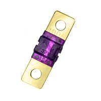 Fusible Batería 100A 32V 42X12Mm Chapado Oro - Soliot