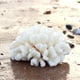 thumbnail image 2 of Ornamento de coral Besimple 14x12x8 cm, paquete de 2, resina, 2 of 9