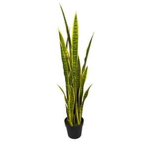 Corel - Sansevieria Amarilla 112Cm Artificial