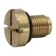 thumbnail image 5 of Tornillo de purga de tanque de expansión de latón para vehículo, resistente, fácil instalación, tapón de depósito de , tornillo de drenaje, 5 of 5