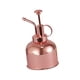 thumbnail image 2 of 300ml Metal Planta Flores Regaderas Olla Pulverizador Botella Pulverizador Oro Rosa, 2 of 5