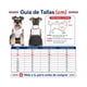 thumbnail image 4 of Traje de Huaso Chileno para Perro Talla M, 4 of 10