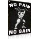 thumbnail image 1 of Letrero estaño metal gimnasio no dejas entrenar envejeces vintage arte pared hogar boxeo club 30x40cm, 1 of 6
