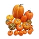 thumbnail image 5 of 16 Calabazas Artificiales Para Repisa De Chimenea Para Jardín De Acción De Gracias, 5 of 5