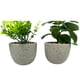 thumbnail image 2 of Planta base cemento, 2 of 8