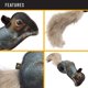 thumbnail image 3 of Juguete para mascotas Browning Ardilla de 11 cm con silbato gris, 3 of 6