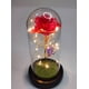 thumbnail image 4 of Rosa Eterna Roja Cupula Vidrio Lampara Led Base Madera, 4 of 7