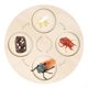thumbnail image 1 of Montessori Life Growth Cycle Board Early #Educational For Preschool Kids Cigarra, 1 of 5