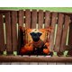 thumbnail image 2 of Almohada decorativa Caroline's Treasures Affenpinscher Fall, 2 of 6